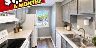 483 Glencoe Ct Gallery 1
