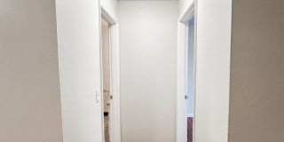 The Pines Apartments Gallery 17