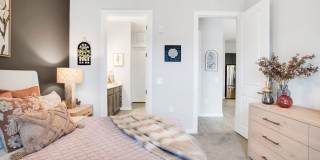 The Aster Gallery 53