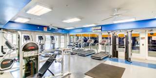 MetroPlace at Town Center Gallery 23