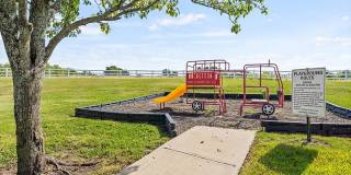 Lakewood Terrace Gallery 31