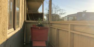 282 38th Street Gallery 17