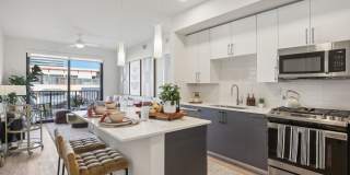 Avida Aventura Gallery 19