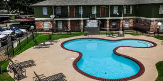 Spring Pine Gallery 20