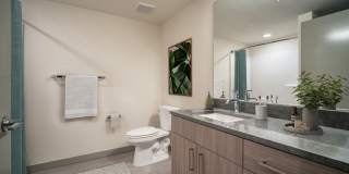 Broadstone Vin Gallery 32