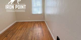 300N16 Gallery 14