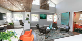 Trellis Gallery 2