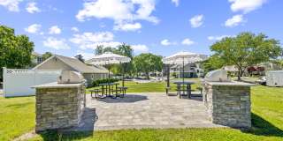 Steeplechase Gallery 31