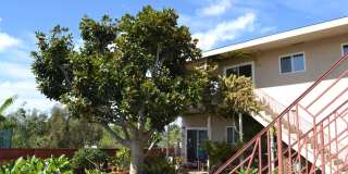 2 Bedroom-1 Bathroom Single Story Apartment on 2nd floor in Hillcrest/Mission Hills community. Gallery 1