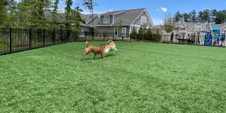 Wren | 3 Bed 2.5 Bath | Garage | 1729 sf | $2831 - $3114 | 8, 9, 10, 12, 14, and 15 month lease terms Gallery 61