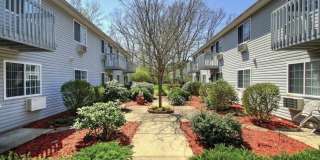 256 Peck Lane Gallery 4