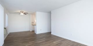 Volterra at La Mesa Gallery 30