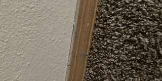 5518 Daniel St Gallery 3