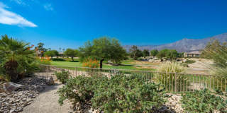 60259 Prickly Pear Gallery 42