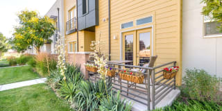 Olympus at The District Gallery 42