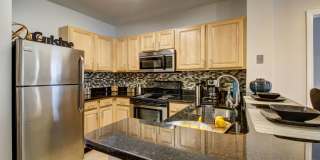 Wellington Place Gallery 7