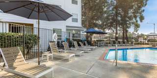 The Hazelwood Gallery 12