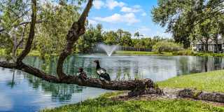 The Oaks Of Woodland Park Gallery 36