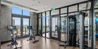 Veneto Las Olas Gallery 34