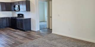CC2707 Gallery 5