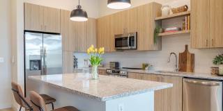 Alexan Peabody Gallery 2