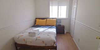 9485 Good Lion Road Gallery 4