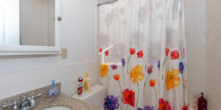 Awesome 4 bed 2 bath in Allston Gallery 6