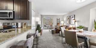 The Haven of Ann Arbor Gallery 30