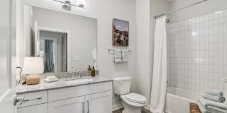 The Stafford Gallery 23