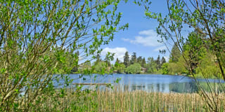 Echo Lake Gallery 34