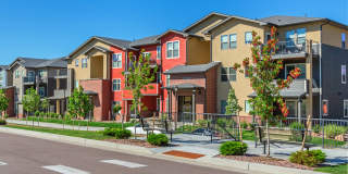 Polaris Peak Gallery 57