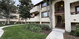 27948 Tyler Lane Gallery 5