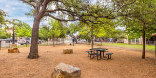 Muir Lake Gallery 43