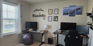 535 Wild Olive Way Gallery 18