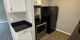5824 Shadymist Lane - 4 Gallery 1