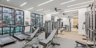 The Sevens Gallery 15