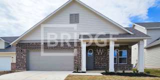 SPRINGFIELD PLAN Gallery 1