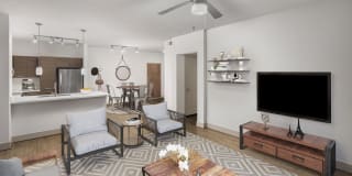 Camden Tempe Gallery 1