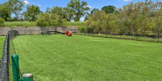 Bayou Reserve Gallery 45