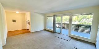 Sunlit 2BD/1BA w/ Private Balcony + Backyard! New Carpet! Assigned Parking! PROGRESSIVE Gallery 1
