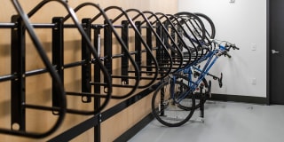 Apartments at Maddie Gallery 23