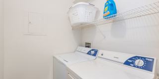 Wilde Lake Gallery 24