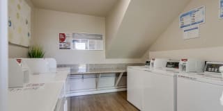 Baywind Gallery 13