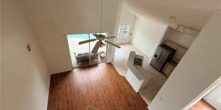 2918 BLOOMING ALAMANDA Loop Gallery 4