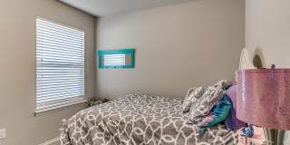 19704 Vivace Dr Gallery 24