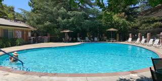 Updated 2 bedroom 1 bath condo in a quiet park like setting with a community pool Gallery 14