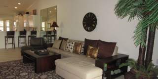 10537 Washingtonia Palm Way Gallery 2