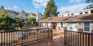 Terra Verde Gallery 19