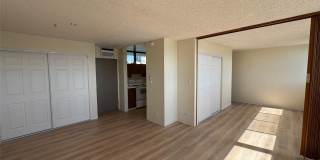 1040 Kinau Street Gallery 4