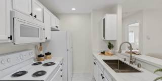 37264 Spruce Ter Gallery 1